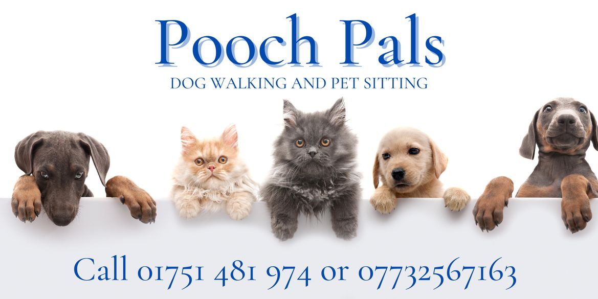 For Dog Walking in Pickering : Pooch Pals